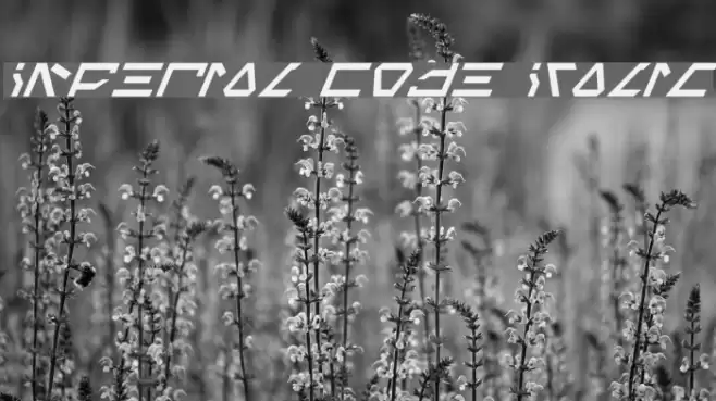 Imperial Code Italic Schriftart examples