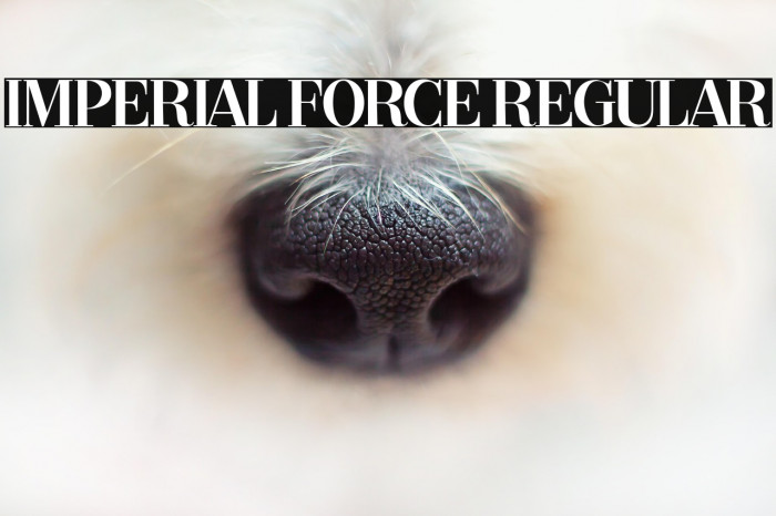 Imperial Force Regular Example 3