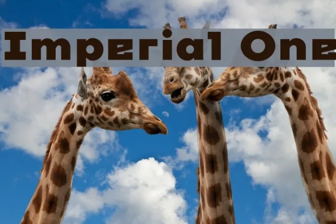 Imperial One Example 1