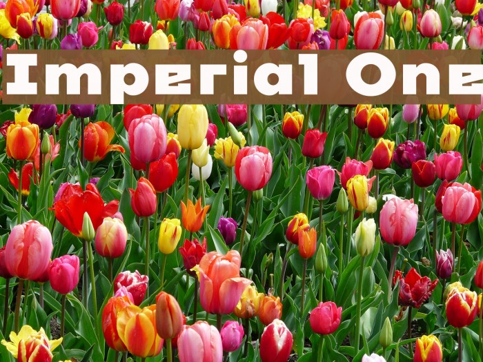 Imperial One Font examples