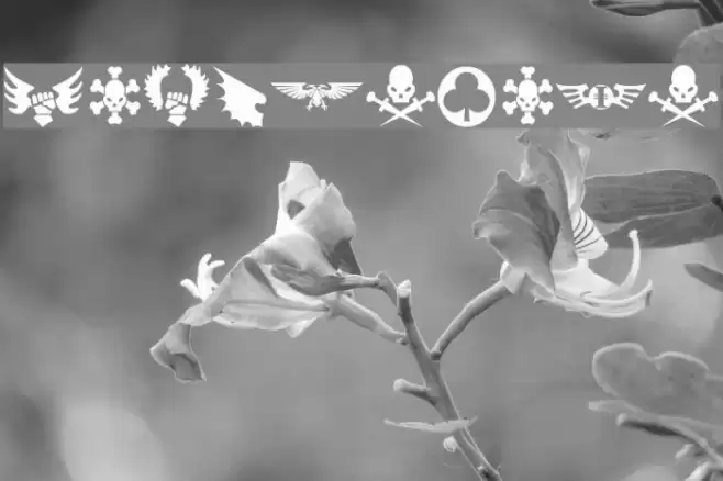 Imperial Symbols Caratteri examples