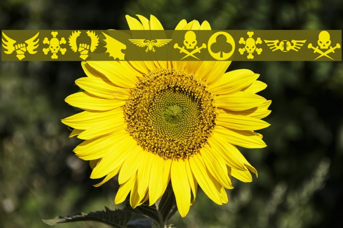 Imperial Symbols Caratteri examples