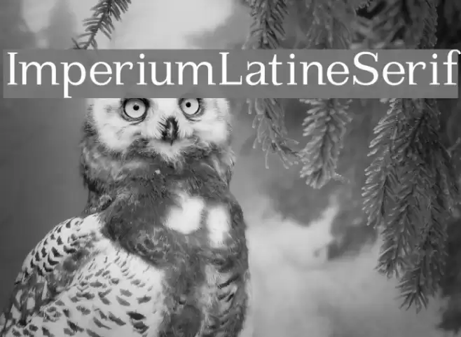 ImperiumLatineSerif Font examples