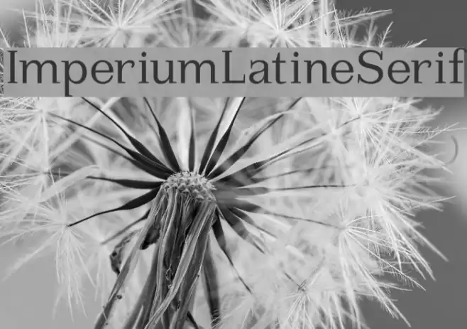 ImperiumLatineSerif Font examples