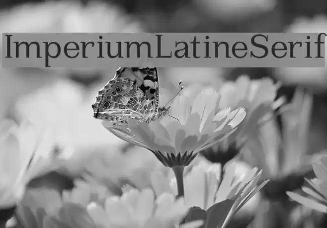ImperiumLatineSerif Font examples