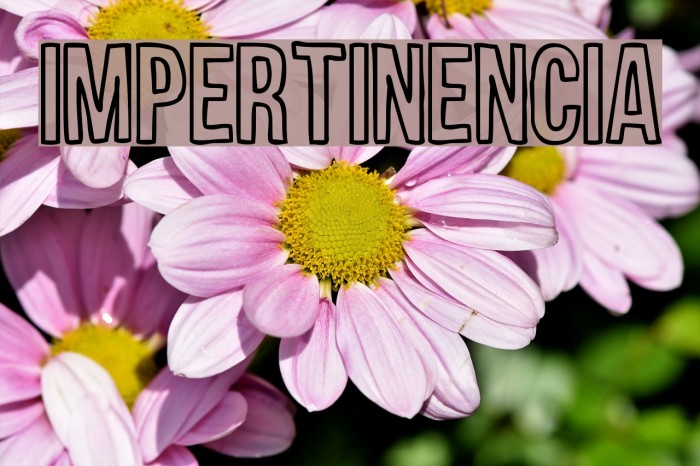 Impertinencia Font examples