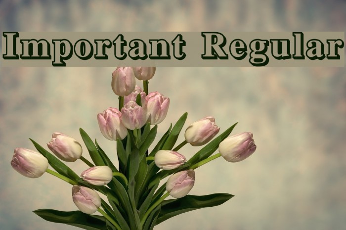 Important Regular Font examples