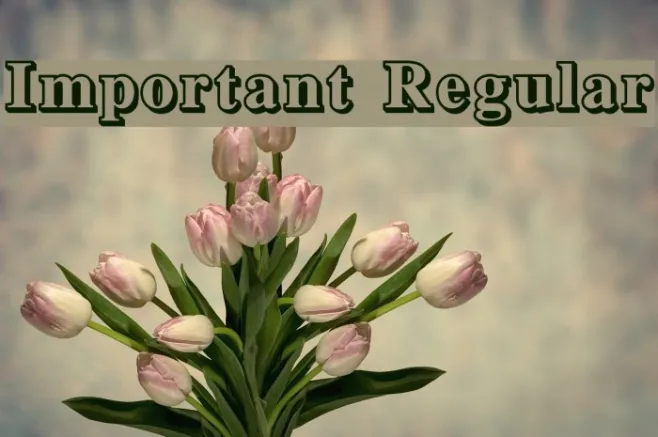 Important Regular Example 1