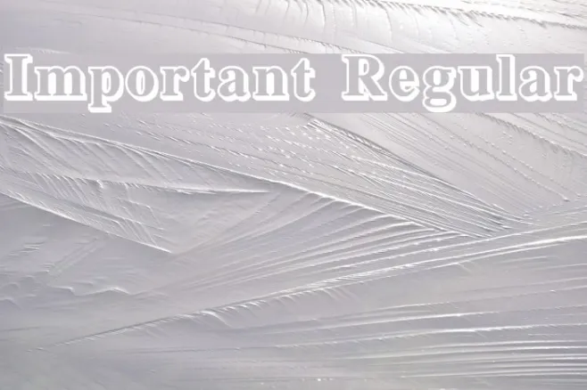 Important Regular Example 3