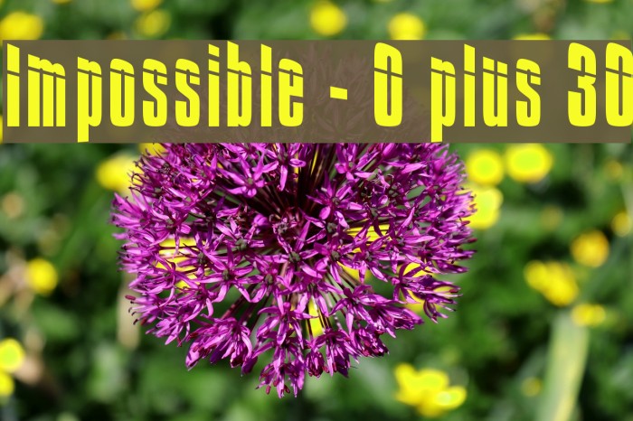 Impossible - 0 plus 30 Font examples