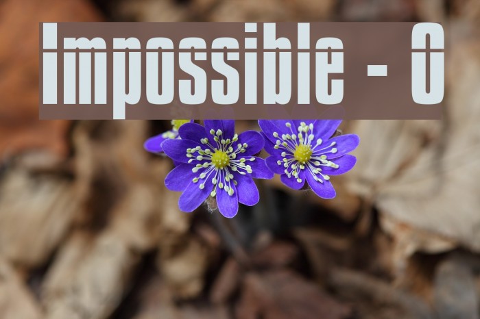 Impossible - 0 Font examples