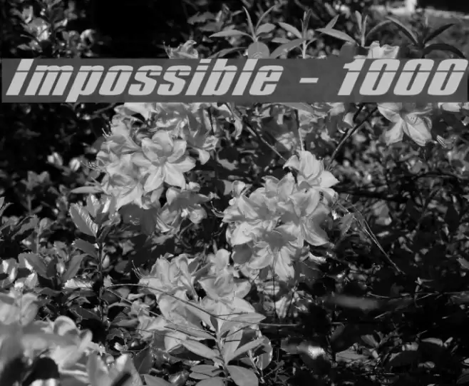 Impossible - 1000 Font examples