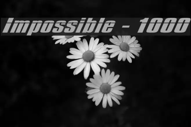 Impossible - 1000 Font examples