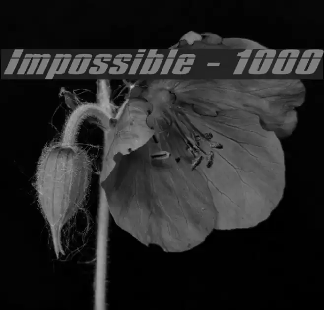 Impossible - 1000 Font examples