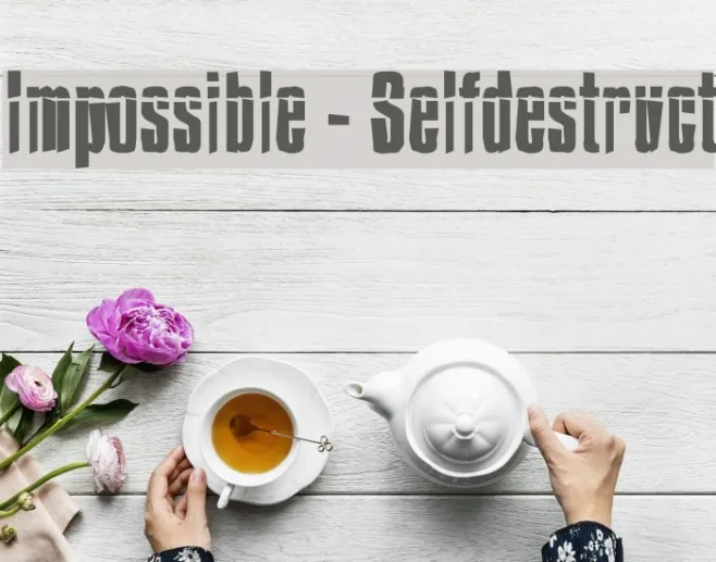 Impossible - Selfdestruct Example 3