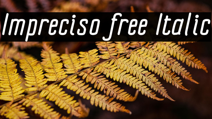 Impreciso free Italic Example 1