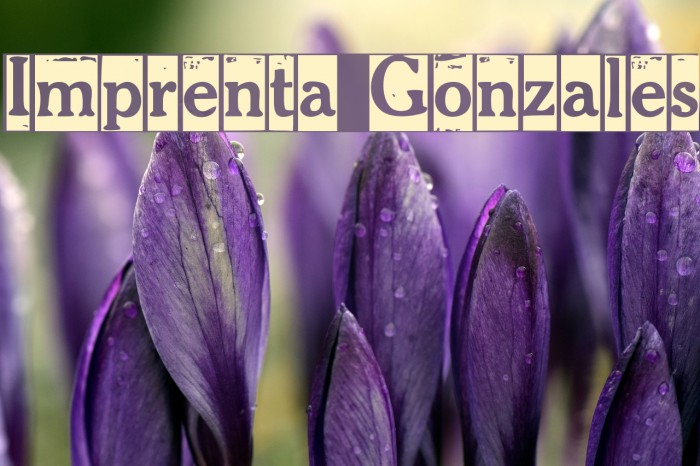 Imprenta Gonzales Font examples