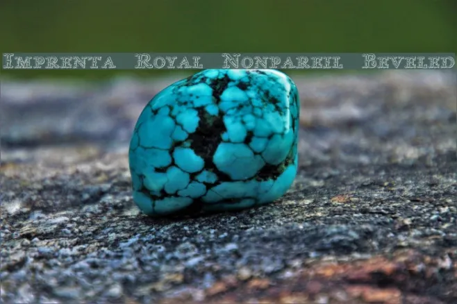 Imprenta Royal Nonpareil Beveled Example 1