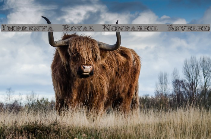 Imprenta Royal Nonpareil Beveled Font examples