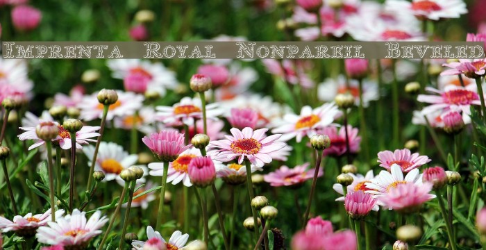 Imprenta Royal Nonpareil Beveled Font examples