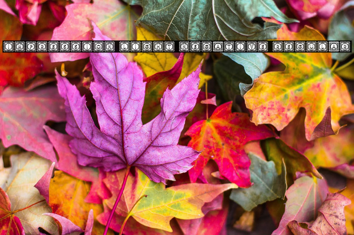 Impression Light Negative Regular Example 1