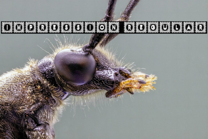 Impression Regular Example 2