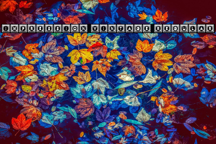 Impression Vintage Regular Example 1