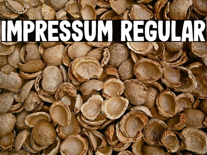 Impressum Regular Font examples