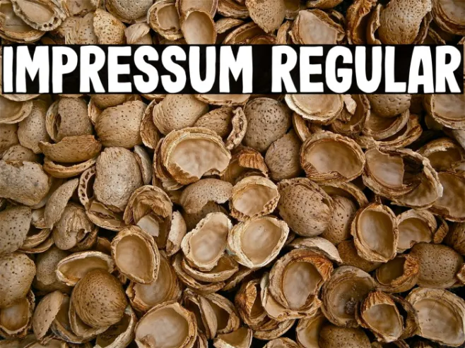 Impressum Regular Example 1