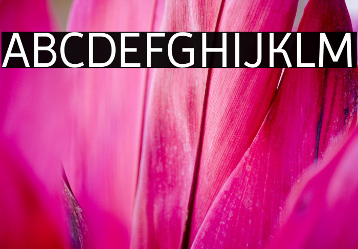 Imprima Font examples
