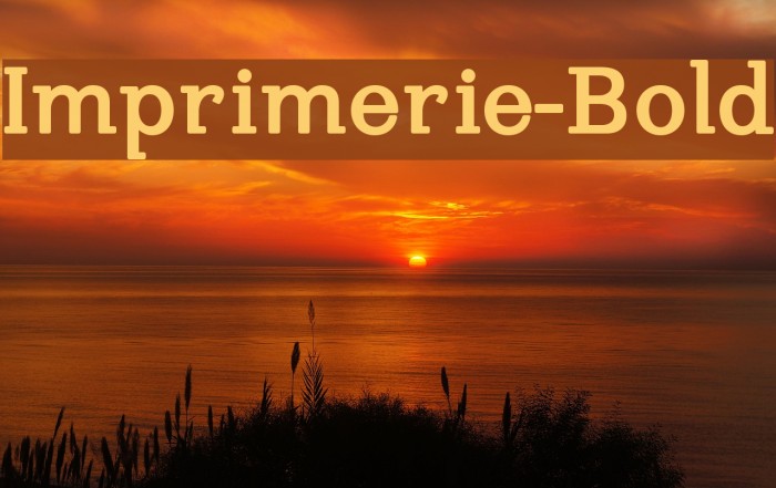 Imprimerie-Bold Font examples