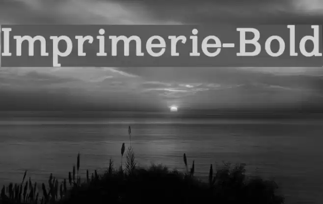 Imprimerie-Bold Font examples