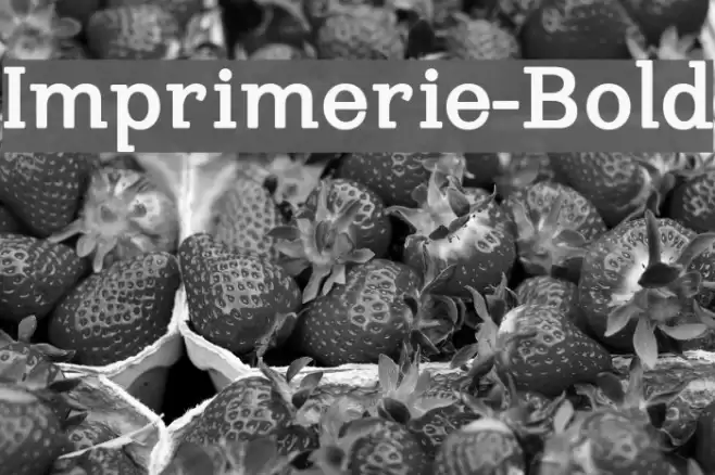 Imprimerie-Bold Font examples