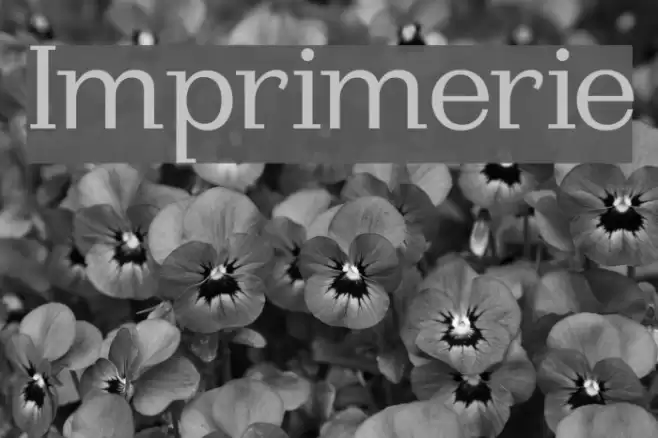 Imprimerie Font examples