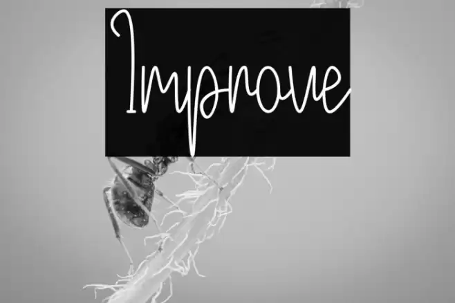 Improve Fonte examples