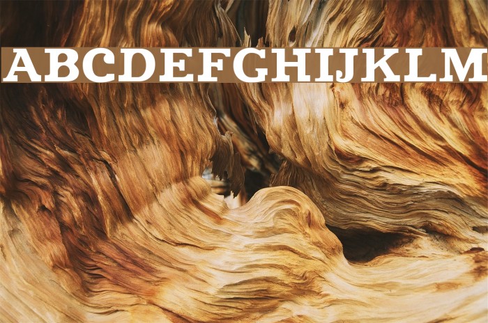 Improvisation Font examples