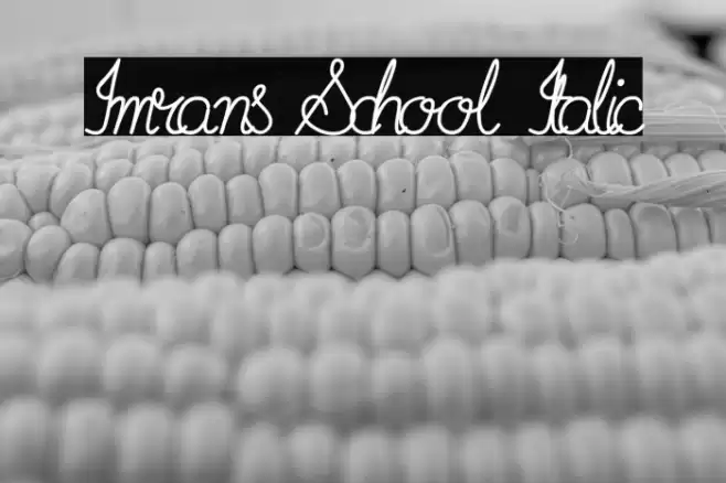Imrans School Italic Font examples