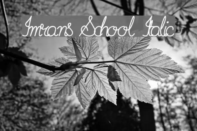 Imrans School Italic Font examples
