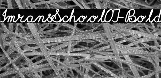 ImransSchoolOT-Bold Font examples