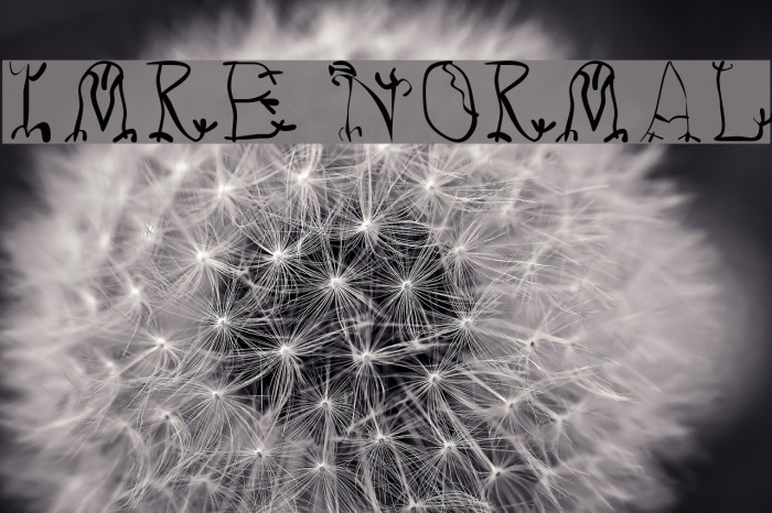Imre Normal Font examples