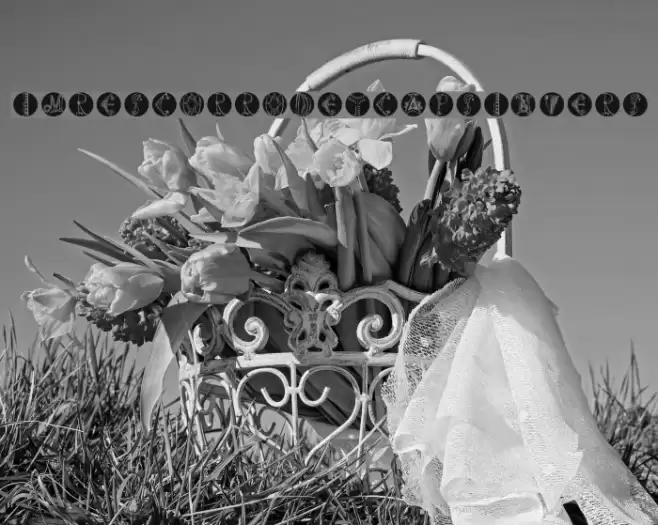 ImresCorrodetCapsInvers Font examples