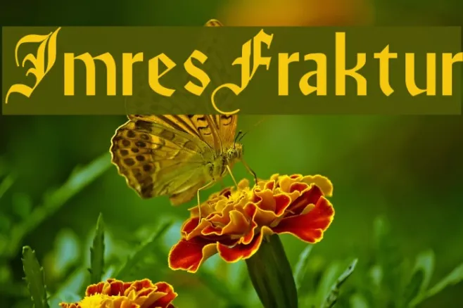 ImresFraktur Example 3