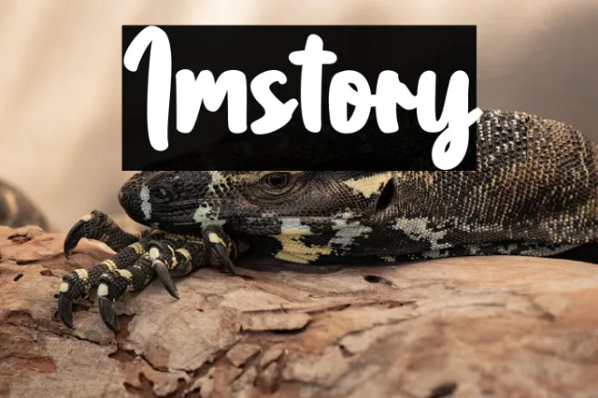 Imstory Example 1