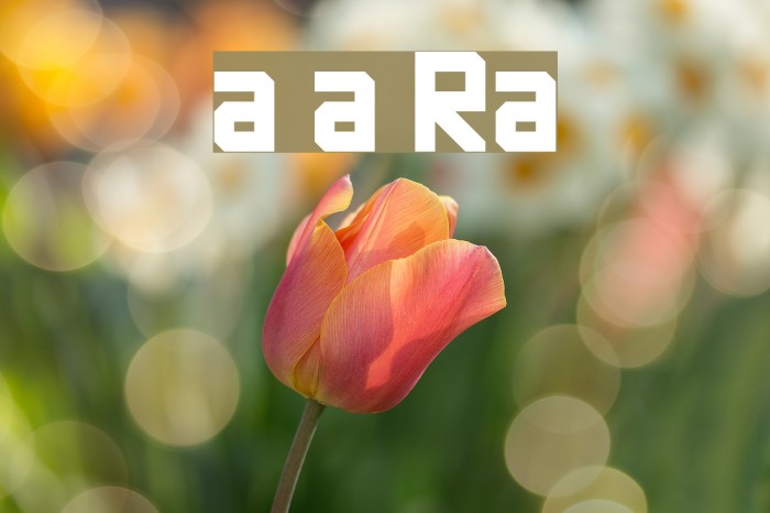 imagine earth Regular Font examples