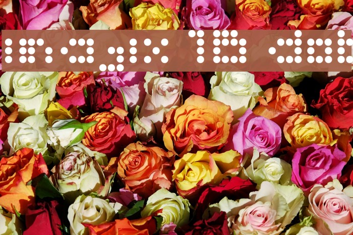 imajix 16 dot Example 2