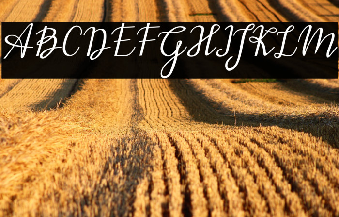 imelda Regular Example 1