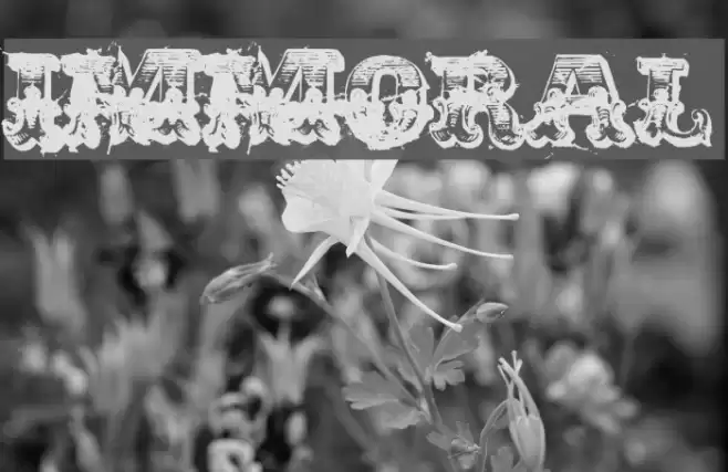 immoral Font examples