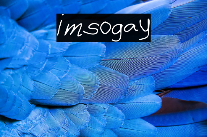 imsogay Example 1