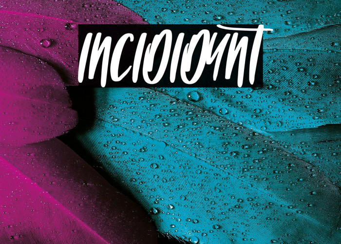 INCIDIDUNT Example 2