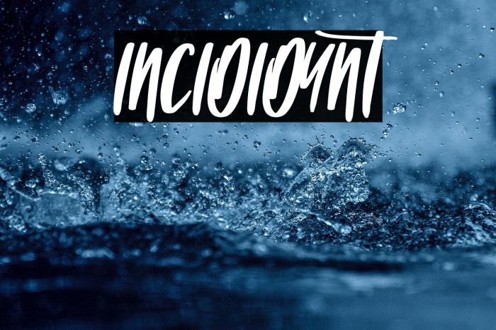 INCIDIDUNT Example 3